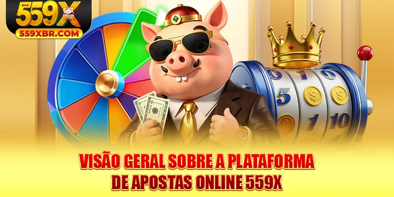 Visão geral sobre a plataforma de apostas online 559X